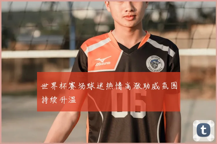世界杯赛场球迷热情高涨助威氛围持续升温