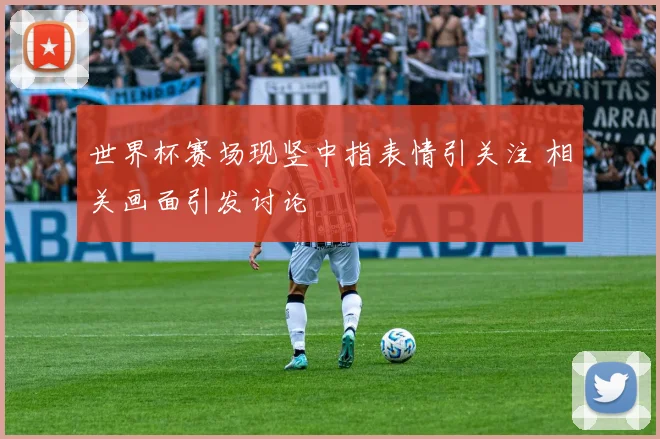 世界杯赛场现竖中指表情引关注 相关画面引发讨论