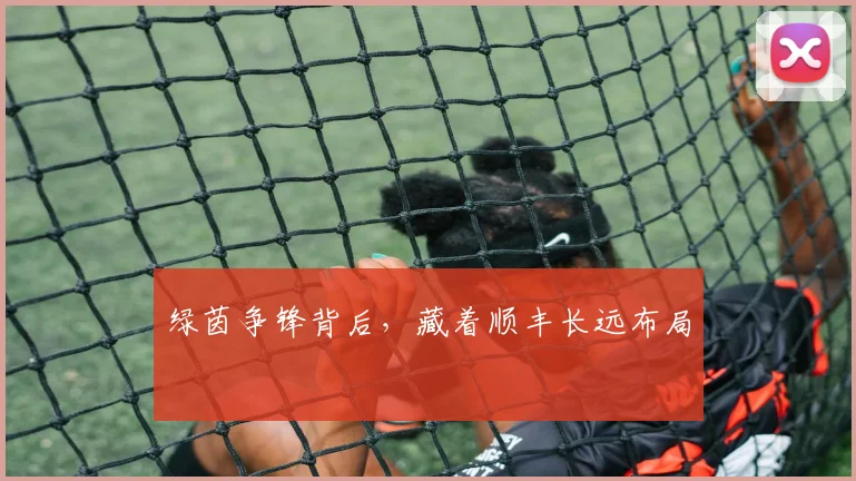 绿茵争锋背后，藏着顺丰长远布局